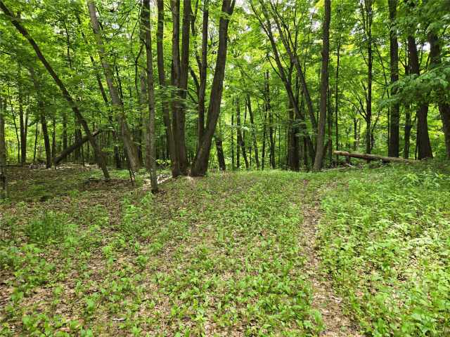 Menomonie Land Real Estate