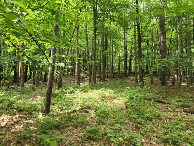 Menomonie Land Real Estate