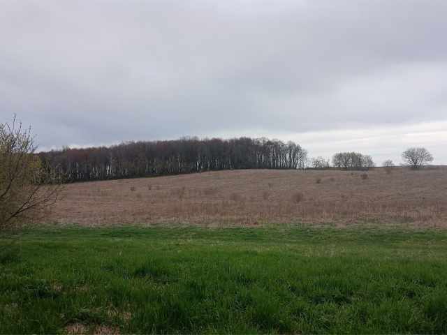 Bloomer Land Real Estate