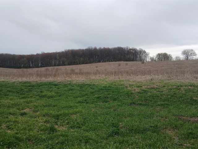 Bloomer Land Real Estate