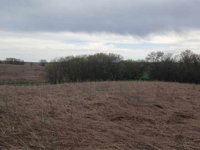 Bloomer Land Real Estate