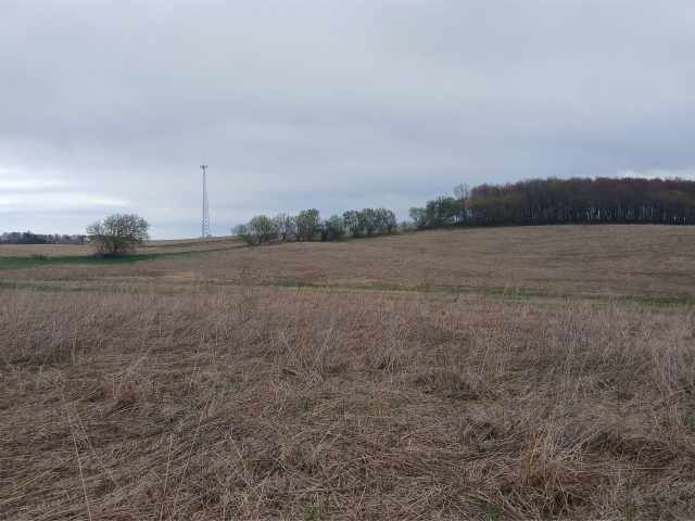 Bloomer Land Real Estate
