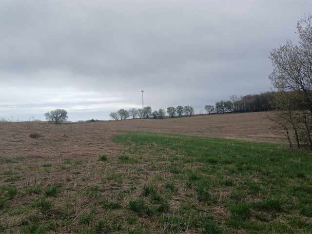 Bloomer Land Real Estate