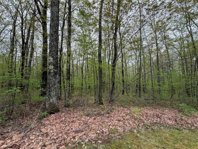 Stone Lake Residential Real Estate