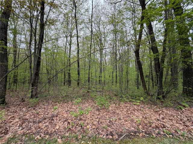 Stone Lake Residential Real Estate