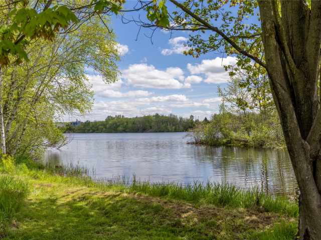 Ladysmith Residential Real Estate