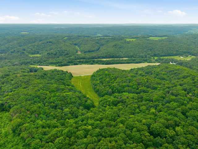 Wheeler Land Real Estate