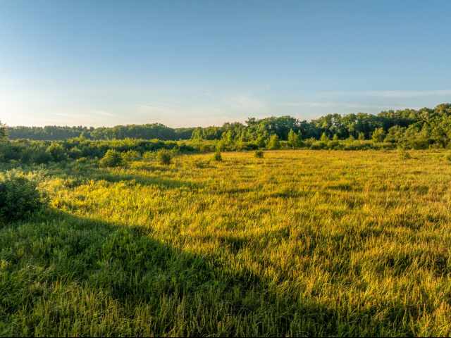 Cumberland Land Real Estate