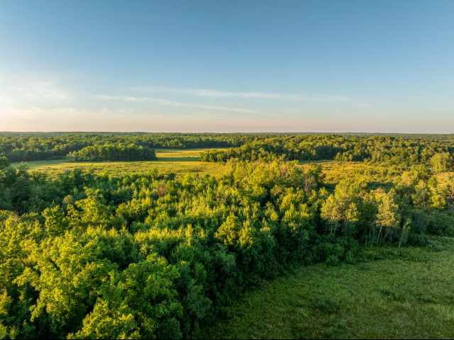 Cumberland Land Real Estate