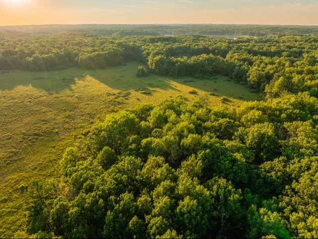 Cumberland Land Real Estate