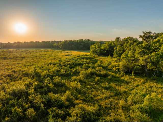 Cumberland Land Real Estate