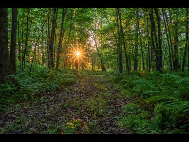 Cumberland Land Real Estate