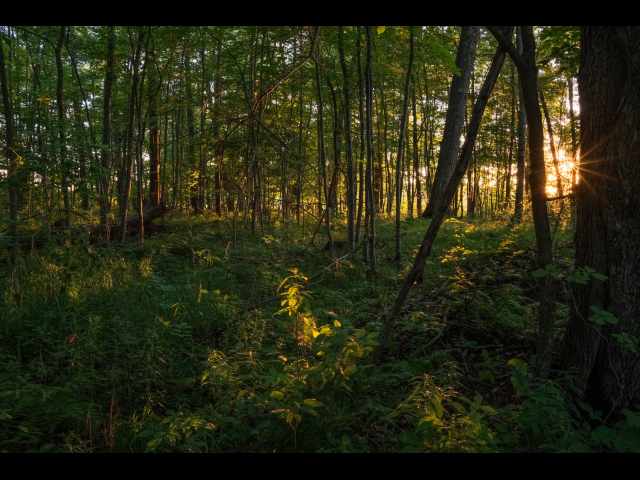 Cumberland Land Real Estate