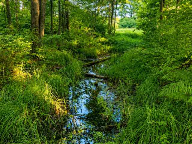 Cumberland Land Real Estate