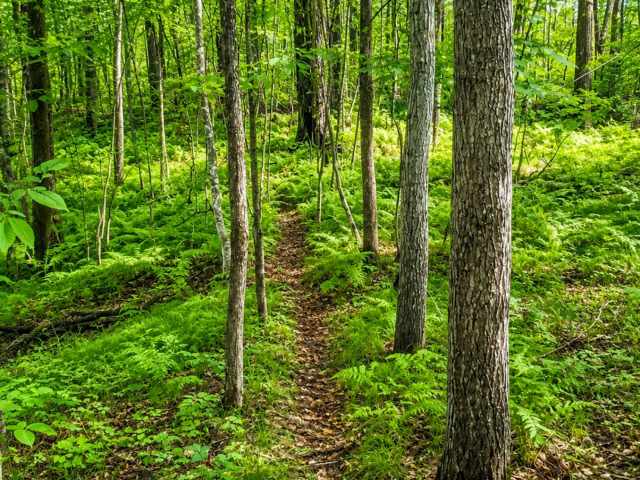 Cumberland Land Real Estate