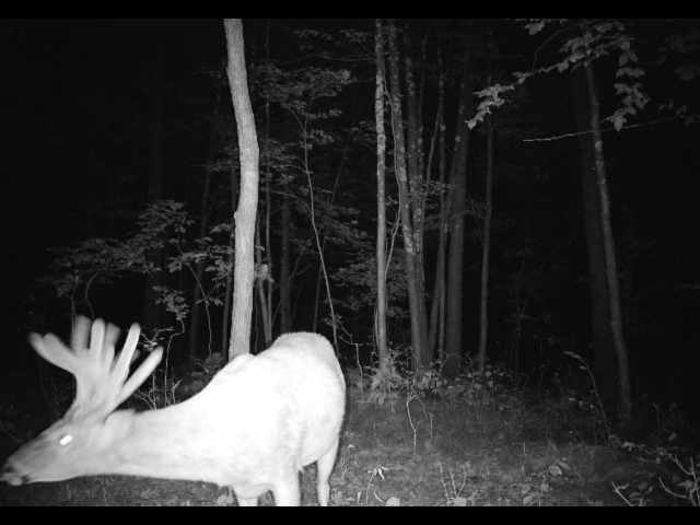 Cumberland Land Real Estate