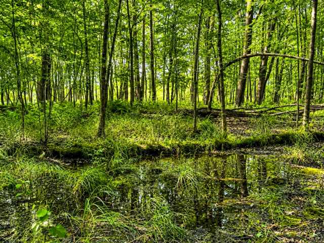 Cumberland Land Real Estate