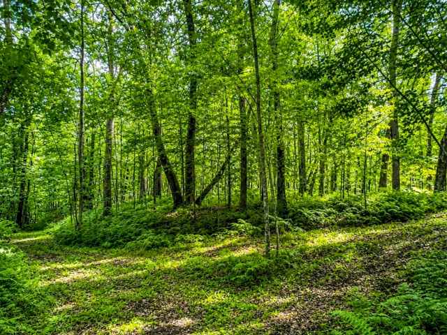 Cumberland Land Real Estate