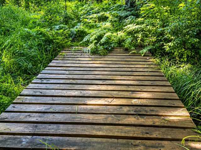 Cumberland Land Real Estate