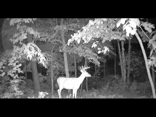 Cumberland Land Real Estate