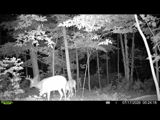 Cumberland Land Real Estate