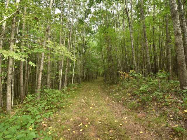 Danbury Land Real Estate