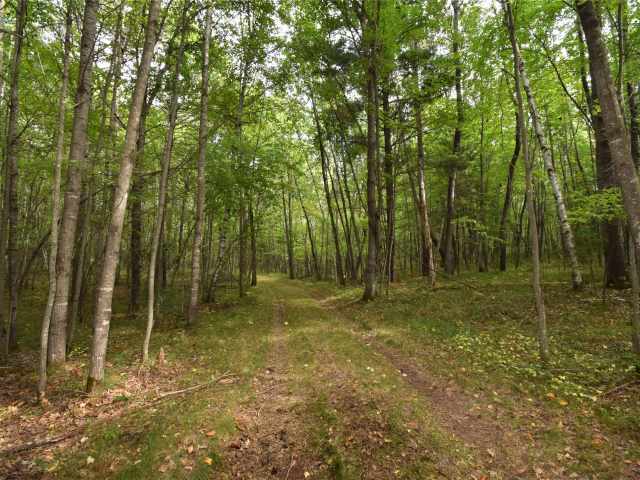 Danbury Land Real Estate