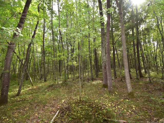 Danbury Land Real Estate