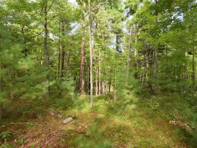 Danbury Land Real Estate