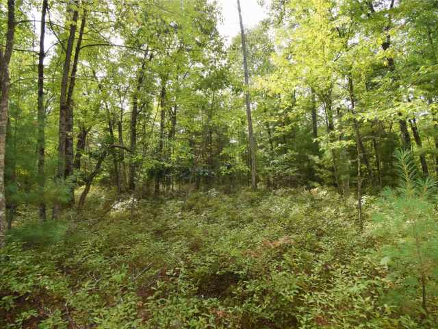 Danbury Land Real Estate