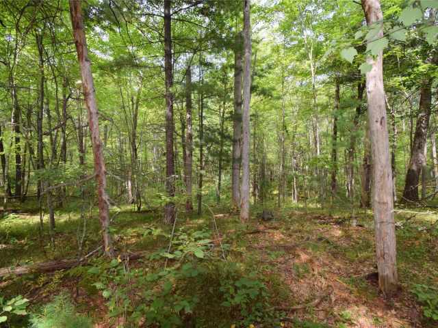Danbury Land Real Estate