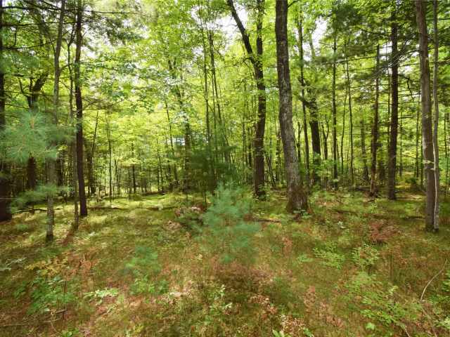 Danbury Land Real Estate