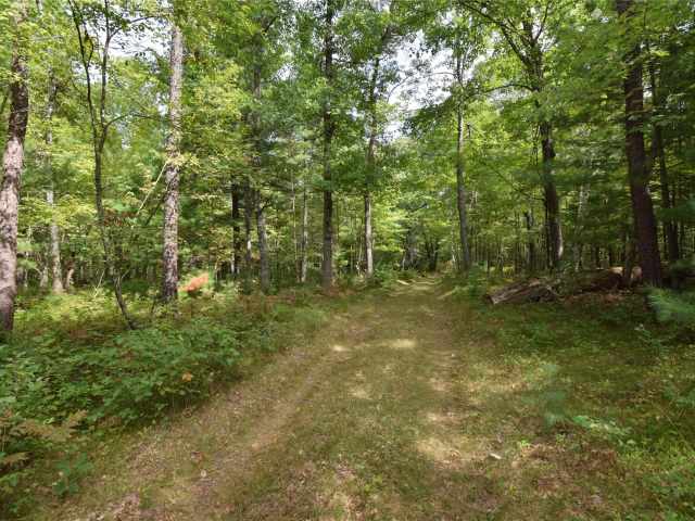 Danbury Land Real Estate