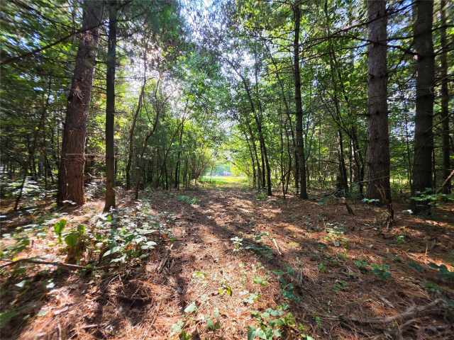 Eau Claire Land Real Estate