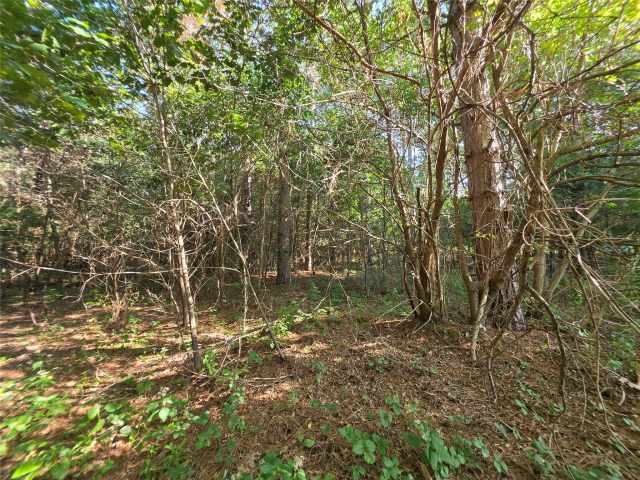 Eau Claire Land Real Estate