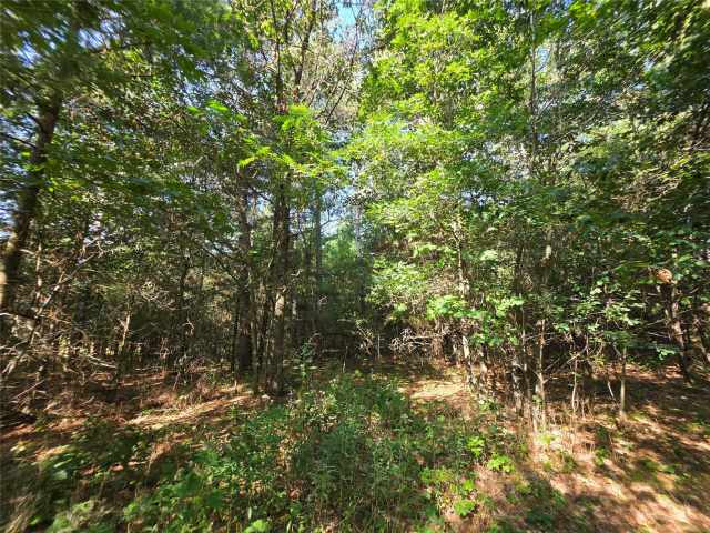Eau Claire Land Real Estate