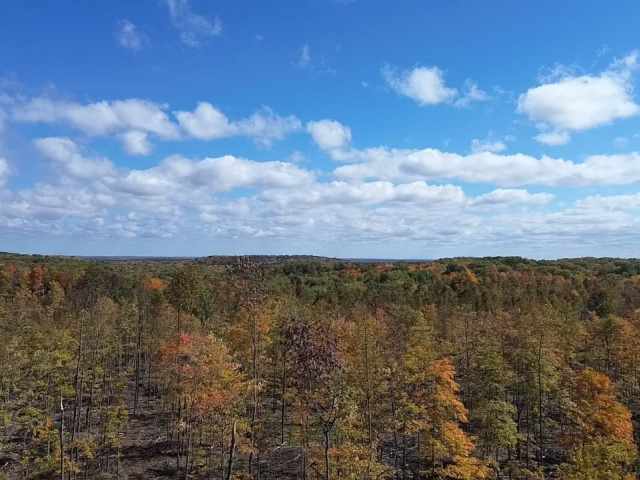 Exeland Land Real Estate