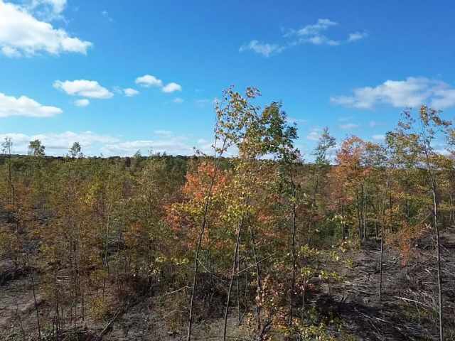 Exeland Land Real Estate