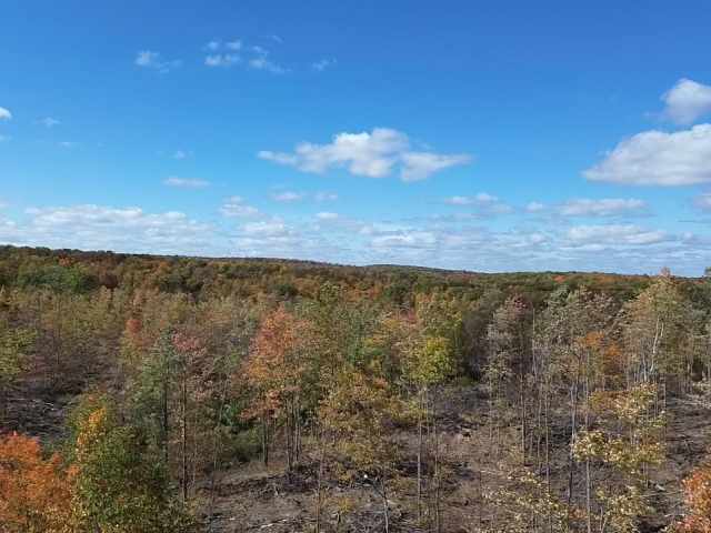 Exeland Land Real Estate