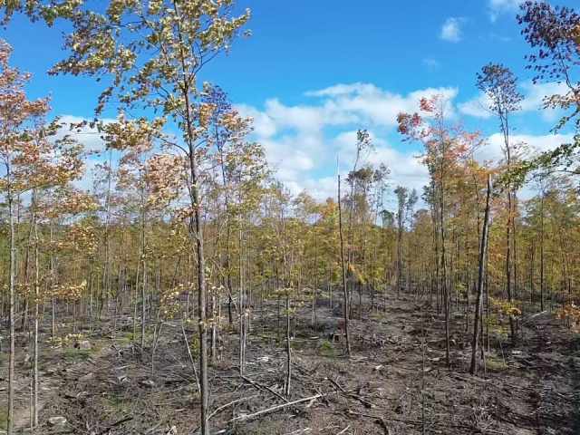 Exeland Land Real Estate