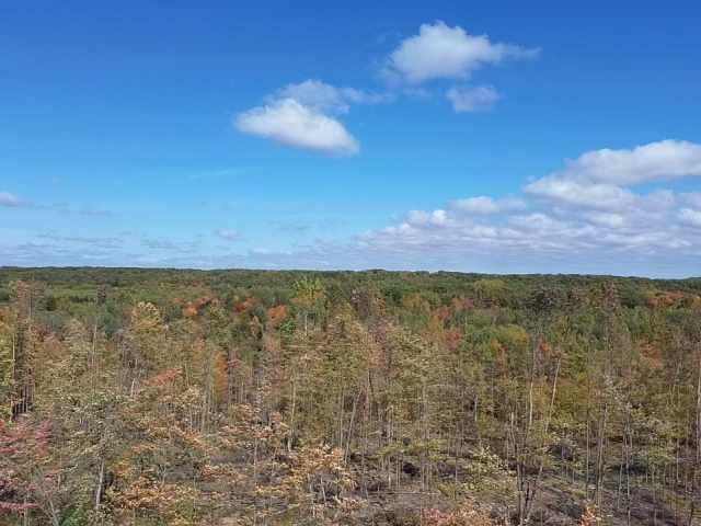 Exeland Land Real Estate