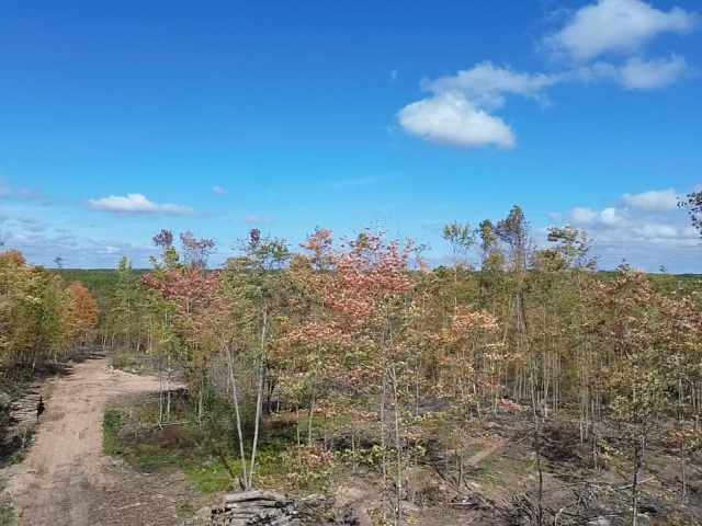 Exeland Land Real Estate