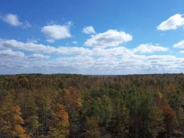 Exeland Land Real Estate