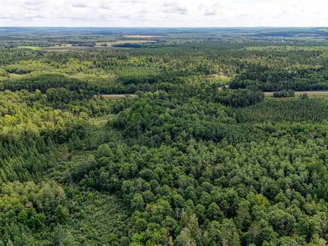 Springbrook Land Real Estate