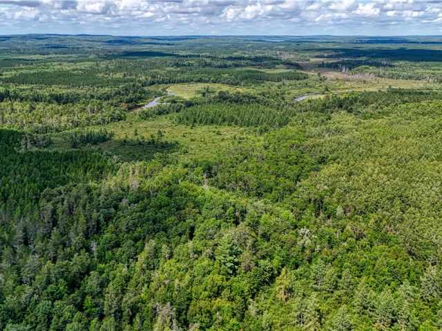 Springbrook Land Real Estate