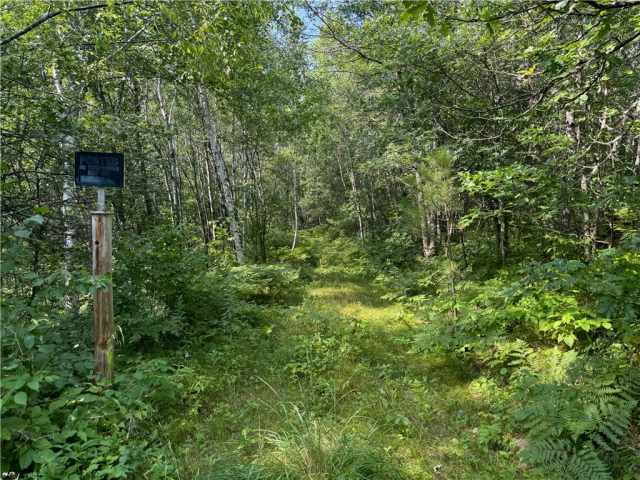 Springbrook Land Real Estate