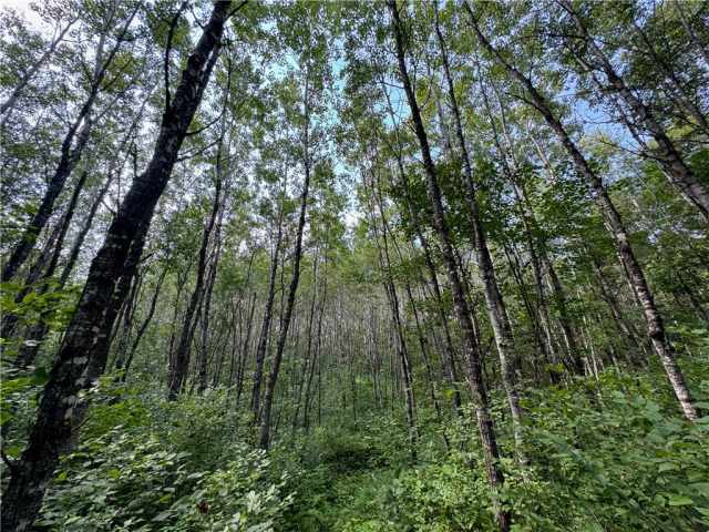 Springbrook Land Real Estate