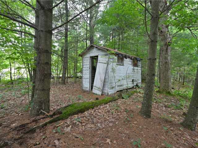 Webster Residential Real Estate