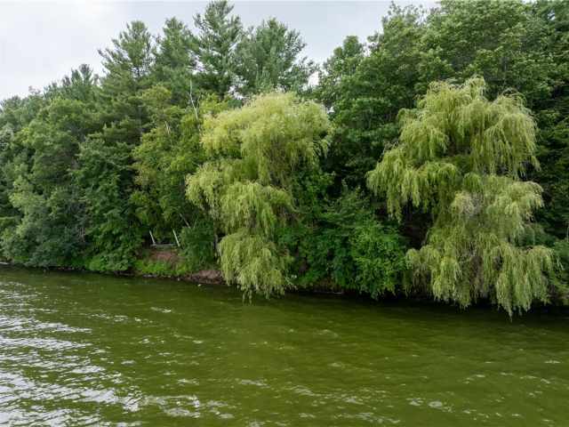 Webster Residential Real Estate
