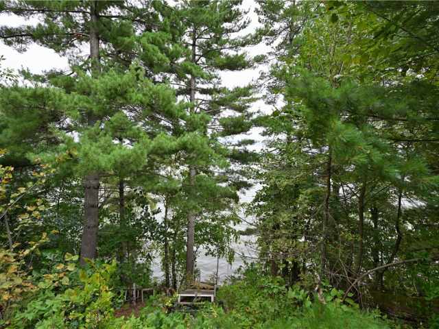 Webster Residential Real Estate